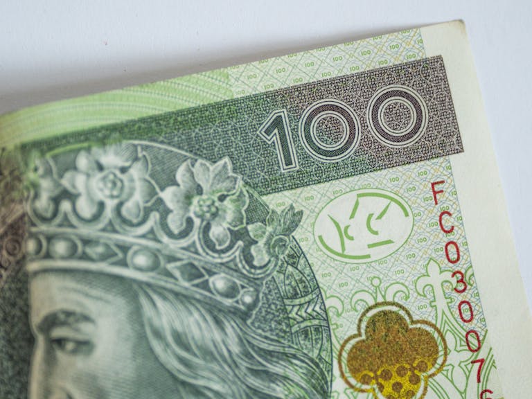 Detailed image of a Polish 100 Zloty banknote, showcasing intricate design and currency value.
