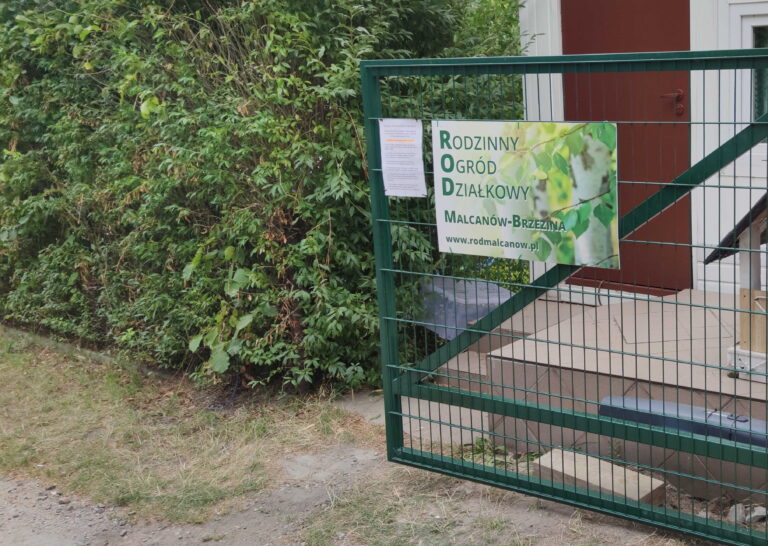 Konkurs „Alejkowe Klimaty 2025”